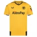 Maillot de Foot Wolves FC Tenue Domicile 2022/23