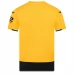 Maillot de Foot Wolves FC Tenue Domicile 2022/23