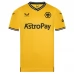 Maillot de Foot Wolves FC Tenue Domicile 2023/24