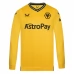 Maillot de Foot Wolves FC Tenue Domicile 2023/24 Manche Longue