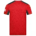 Maillot de Foot Wolves FC Tenue Extérieur 2023/24
