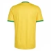Maillot Domicile Afrique Du Sud Coupe du Monde 2026