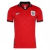 Maillot Domicile Panama Coupe du Monde 2026