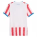 Maillot Domicile Paraguay Coupe du Monde 2026