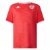 Maillot Domicile Tunisie Coupe du Monde 2026