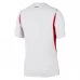 Maillot Domicile Turquie Coupe du Monde 2026