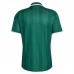 Maillot Extérieur Afrique Du Sud Coupe du Monde 2026