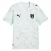 Maillot Extérieur Autriche Coupe du Monde 2026