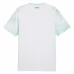 Maillot Extérieur Autriche Coupe du Monde 2026