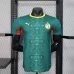 Maillot Extérieur Sénégal Coupe du Monde 2026