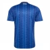 Maillot Extérieur Suède Coupe du Monde 2026