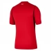 Maillot Extérieur Turquie Coupe du Monde 2026