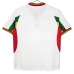 Maillot Sénégal Tenue Domicile Retro 2002
