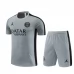 Paris Saint-Germain Training T-Shirt Suits 2023/24 - Gris