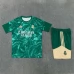 Survêtement(Maillot+Shorts) Real Madrid 2026/27 Vert